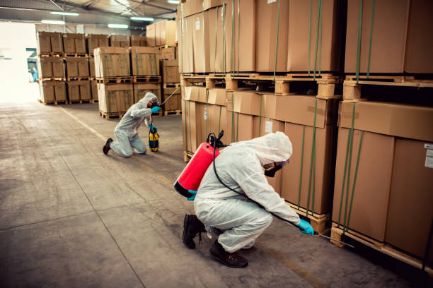 Pest Control Cost in St Louis, MI
