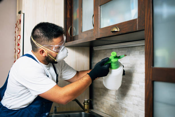 Best Best Pest Control Companies  in St Louis, MI