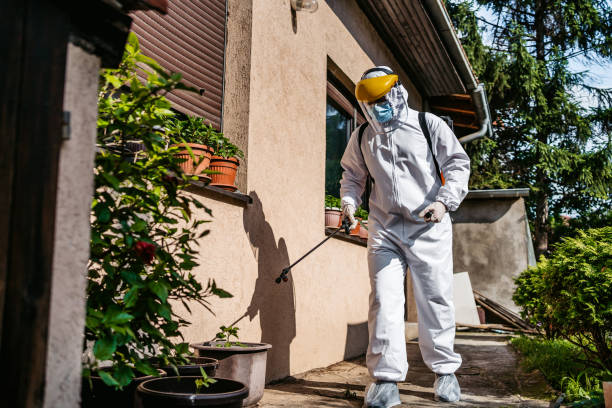 Best Pest Removal Services  in St Louis, MI