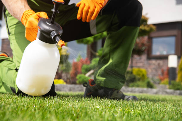 Best Termite Control Services  in St Louis, MI