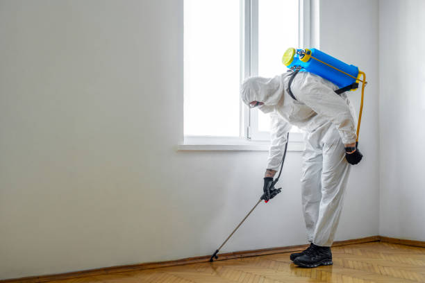 Trusted St Louis, MI Pest Control Experts