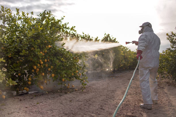 Best Affordable Pest Control Services  in St Louis, MI