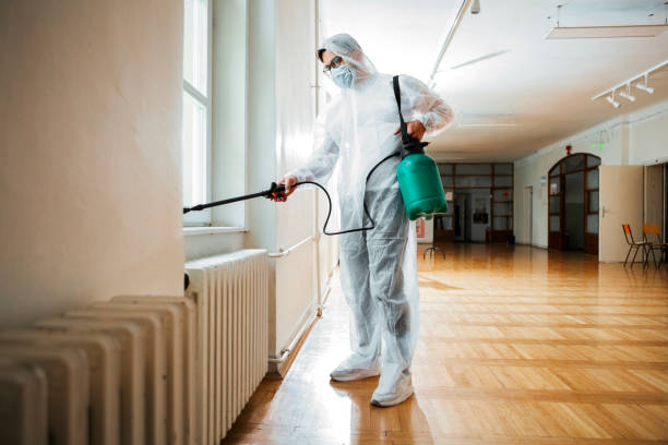 Best Flea Control Services  in St Louis, MI