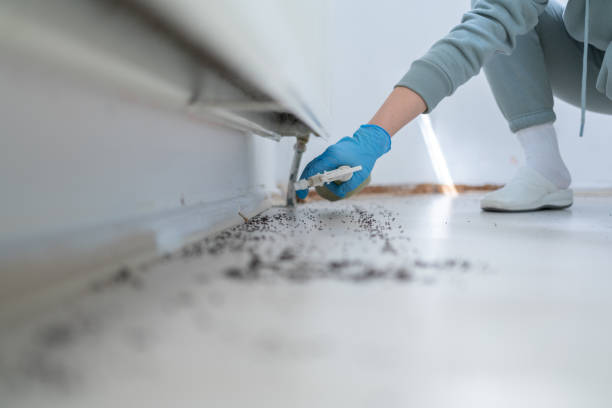 Best Mosquito Control Services  in St Louis, MI